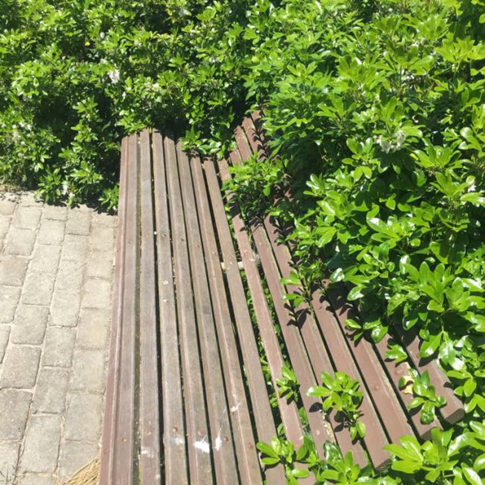 The photograph attached to this parks report