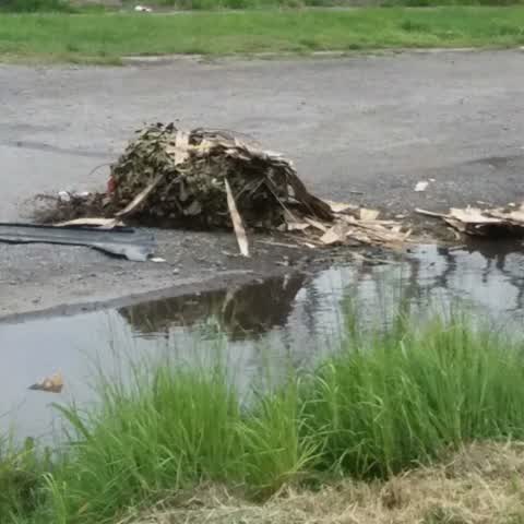 Rubbish/Recycling — a report photo