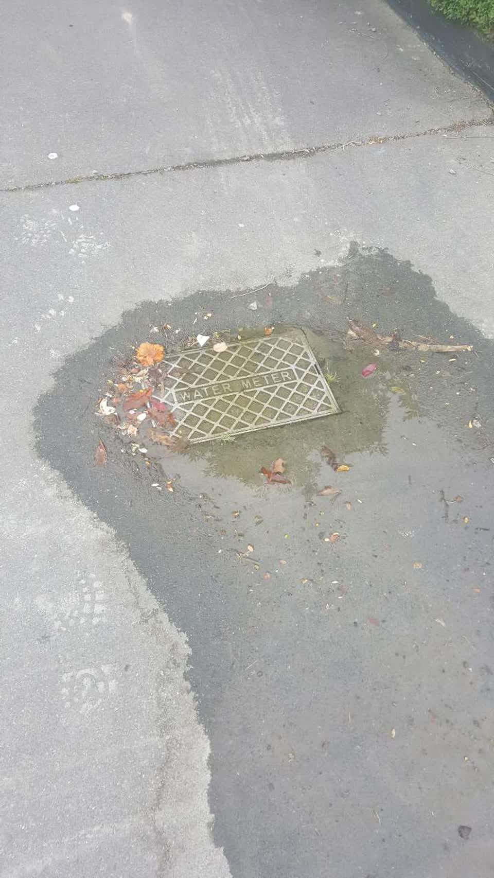 The photograph attached to this water supply report