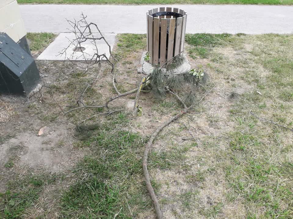 The photograph attached to this parks report