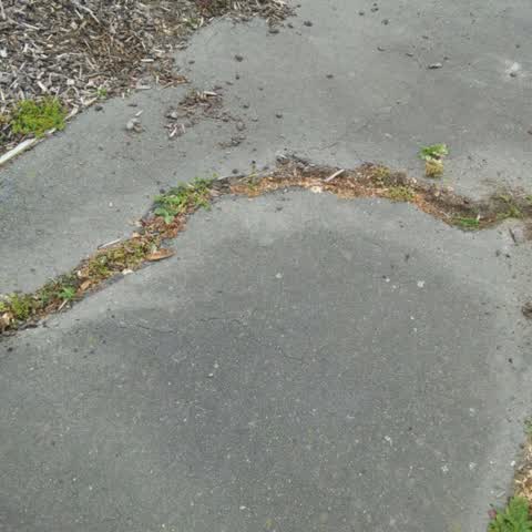 Roading/Streets, a report photo