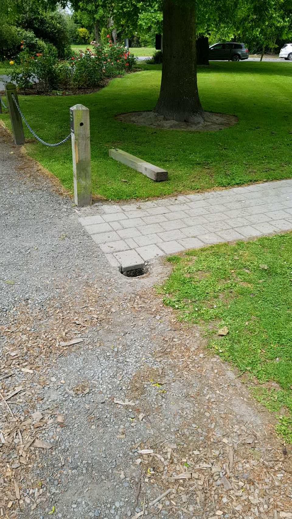 The photograph attached to this parks report