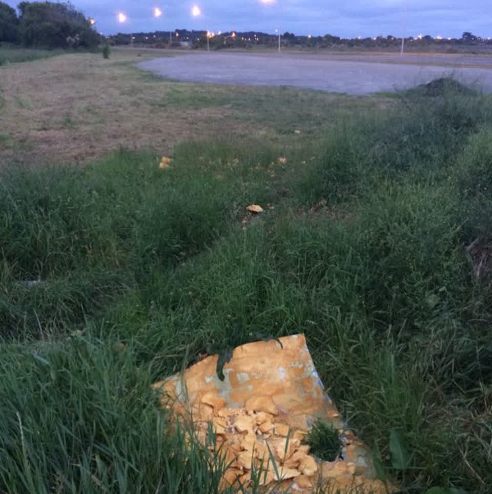 The photograph attached to this rubbish/recycling report