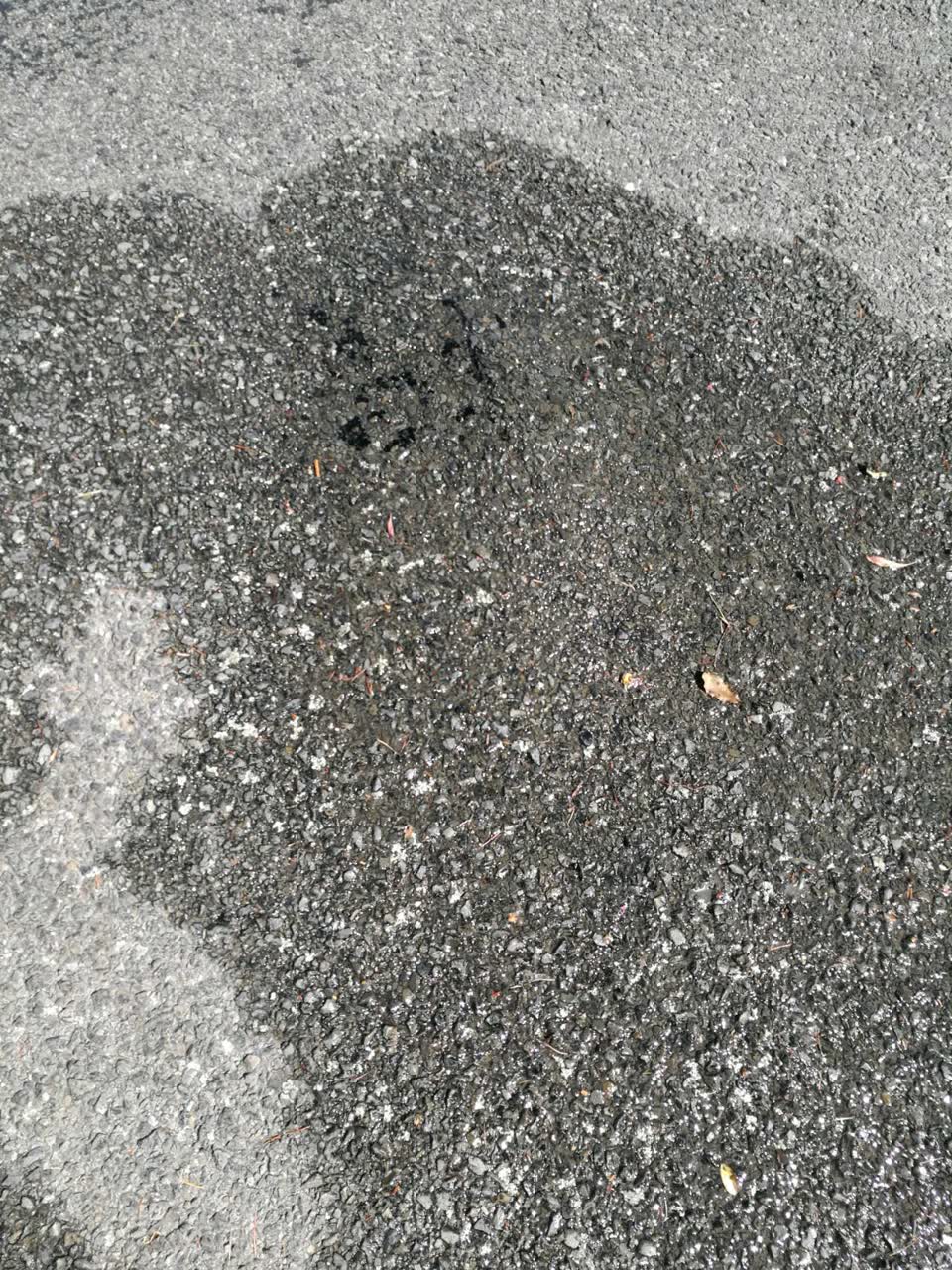 The photograph attached to this water supply report