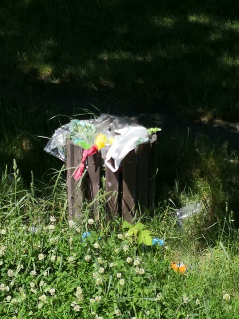 Rubbish/Recycling, a report photo