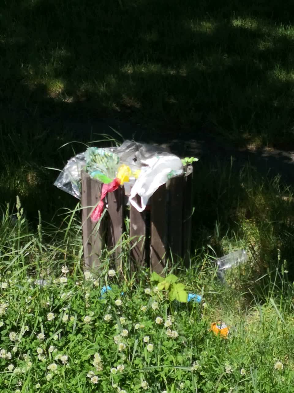 The photograph attached to this rubbish/recycling report