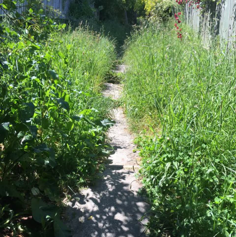 The photograph attached to this parks report