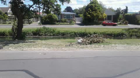 Rubbish/Recycling, a report photo