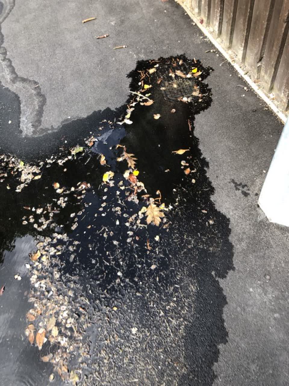 The photograph attached to this water supply report
