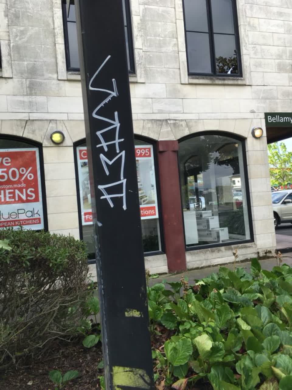 The photograph attached to this graffiti report