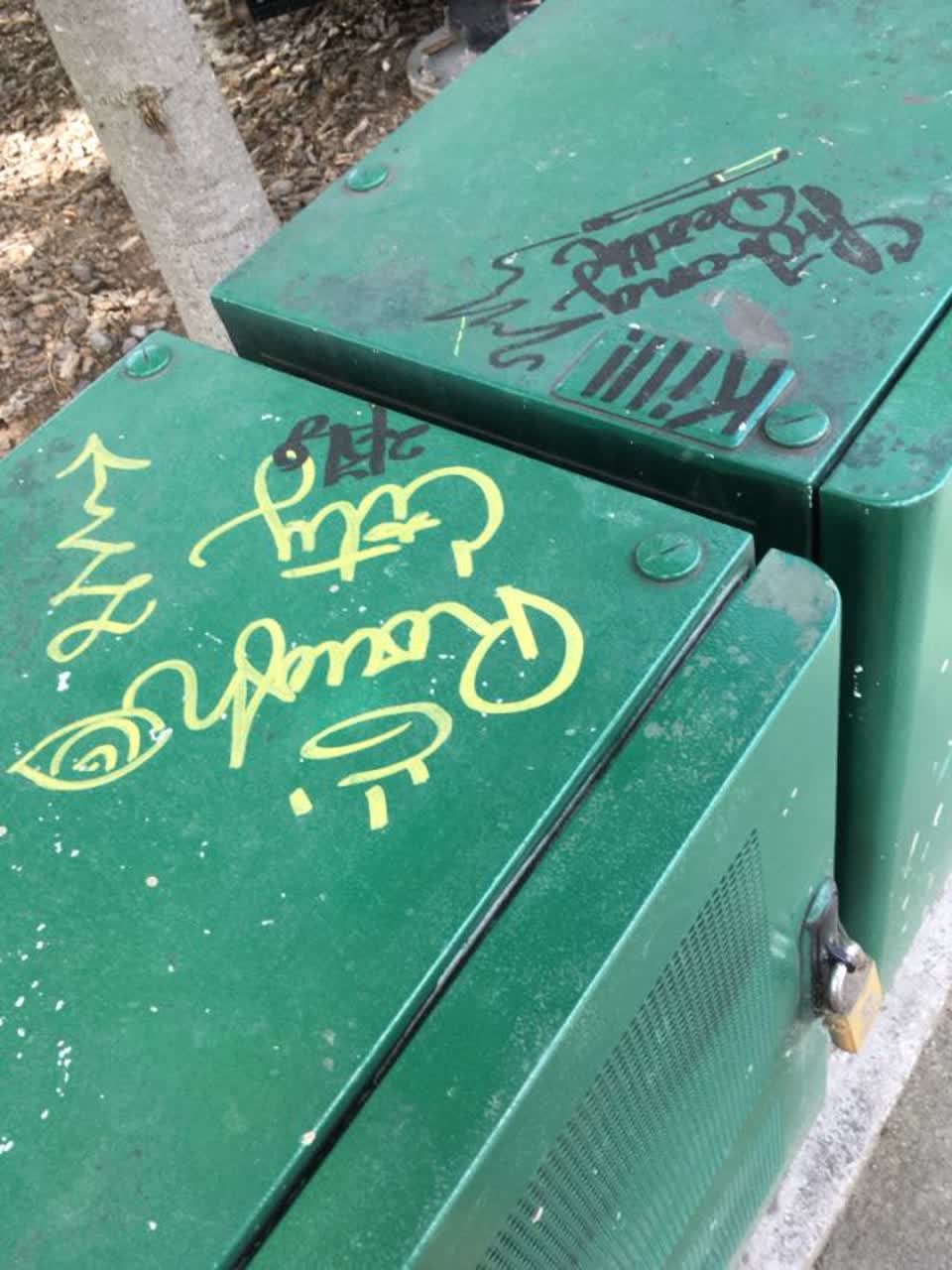 The photograph attached to this graffiti report