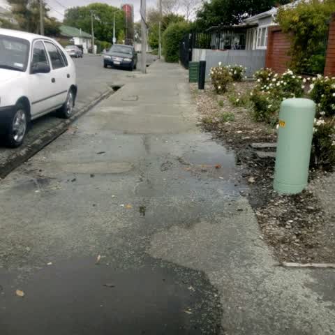 Water Supply, a report photo