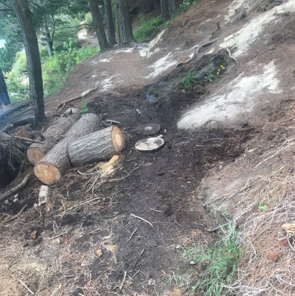 The photograph attached to this parks report