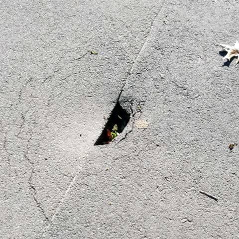 Roading/Streets, a report photo