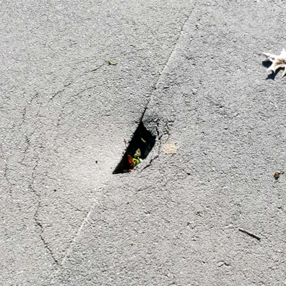The photograph attached to this roading/streets report