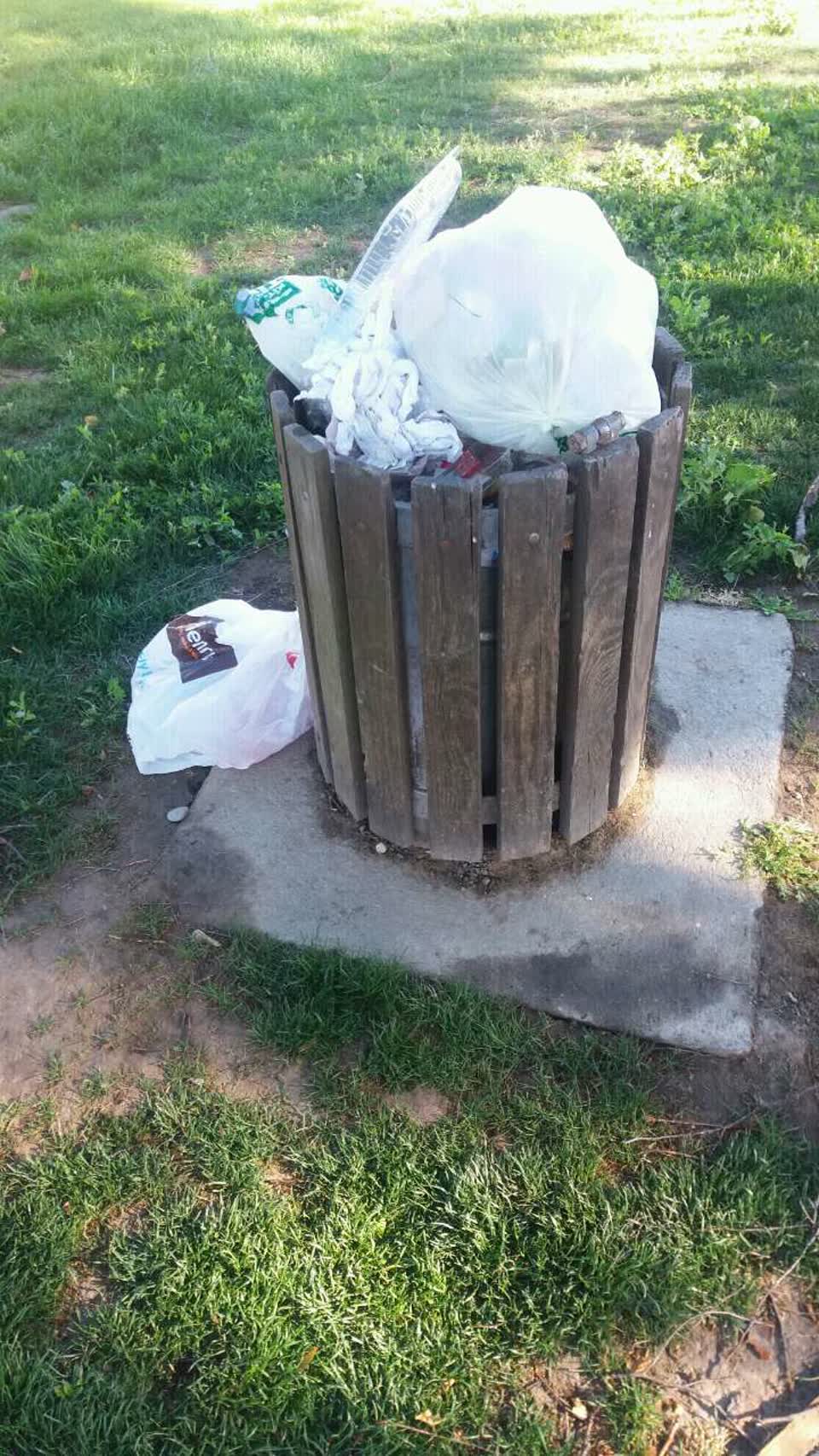 The photograph attached to this rubbish/recycling report