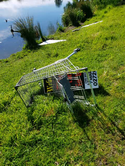 Rubbish/Recycling, a report photo