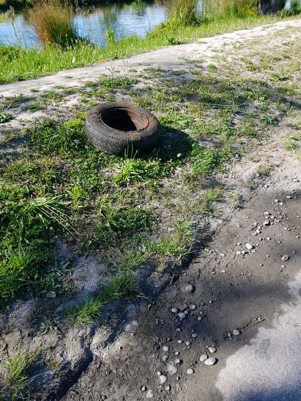 The photograph attached to this rubbish/recycling report
