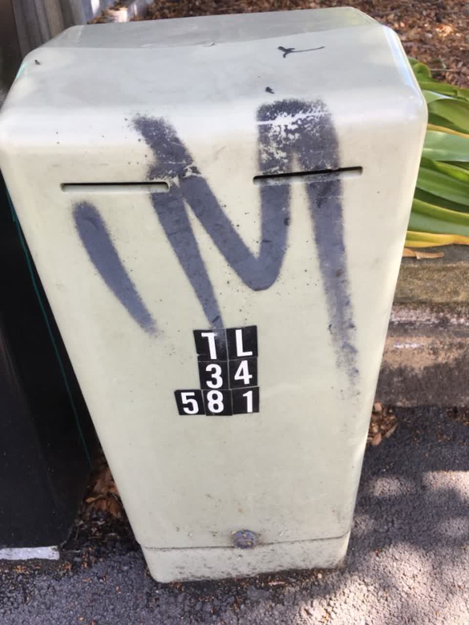 The photograph attached to this graffiti report
