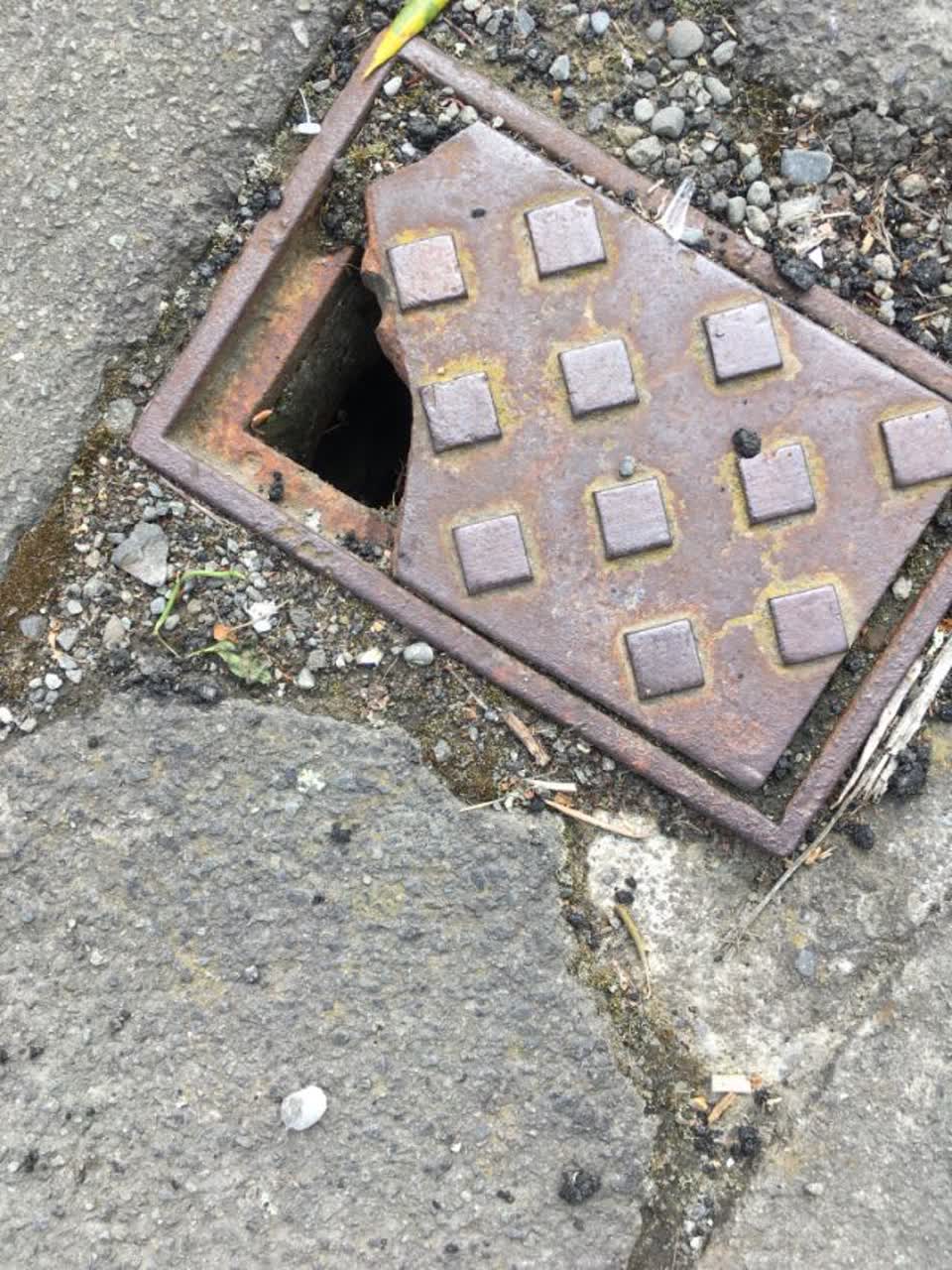 The photograph attached to this roading/streets report