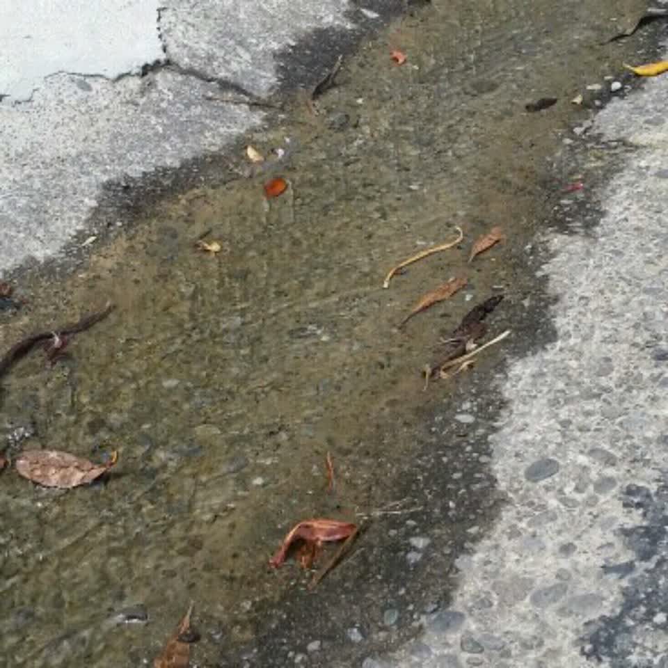 The photograph attached to this water supply report