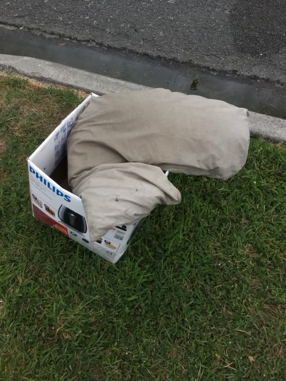 The photograph attached to this rubbish/recycling report