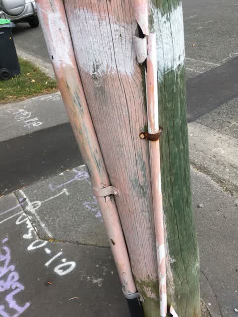 Graffiti, a report photo