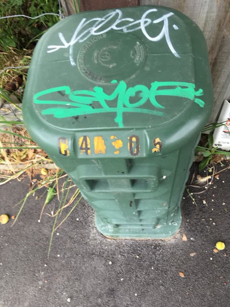 The photograph attached to this graffiti report