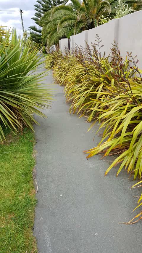 Roading/Streets, a report photo