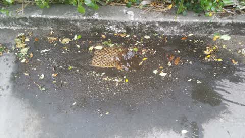 Water Supply, a report photo
