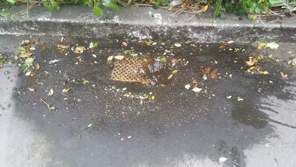 The photograph attached to this water supply report