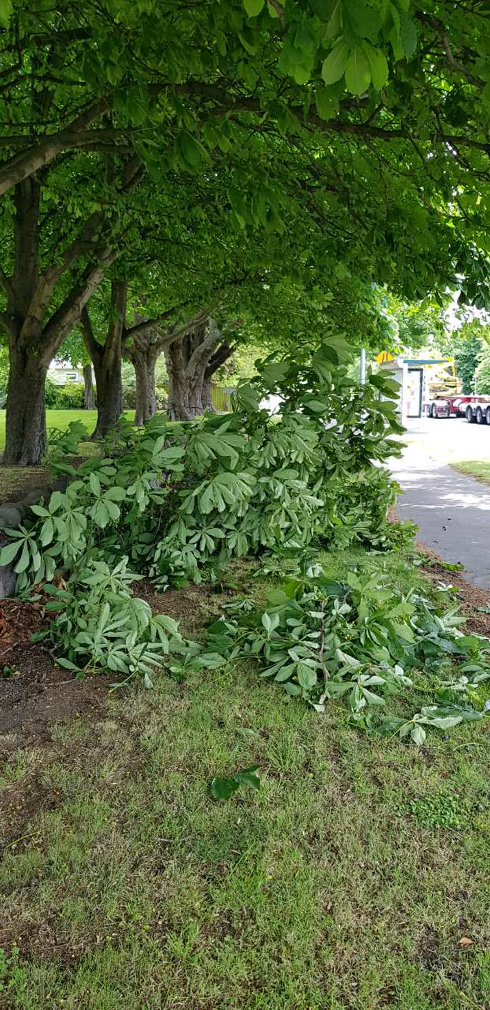 The photograph attached to this parks report
