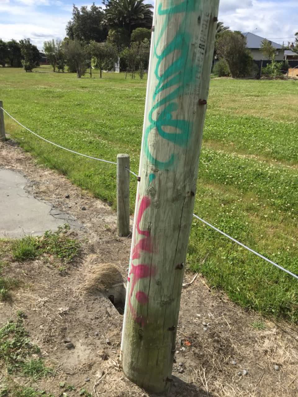 The photograph attached to this graffiti report