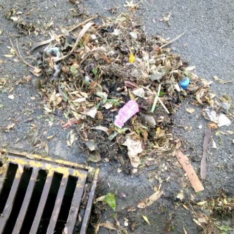 Roading/Streets, a report photo