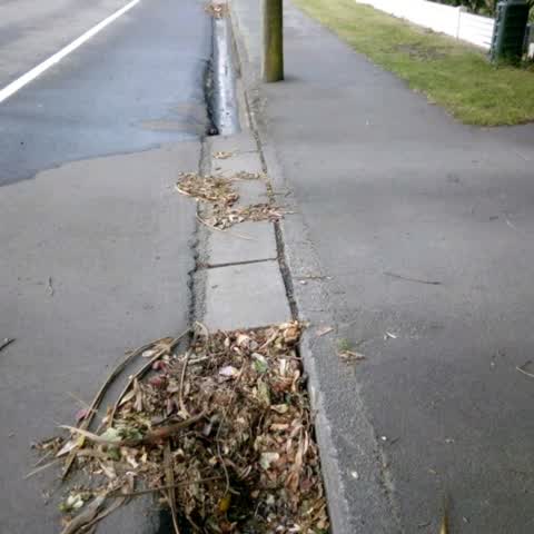 Roading/Streets, a report photo