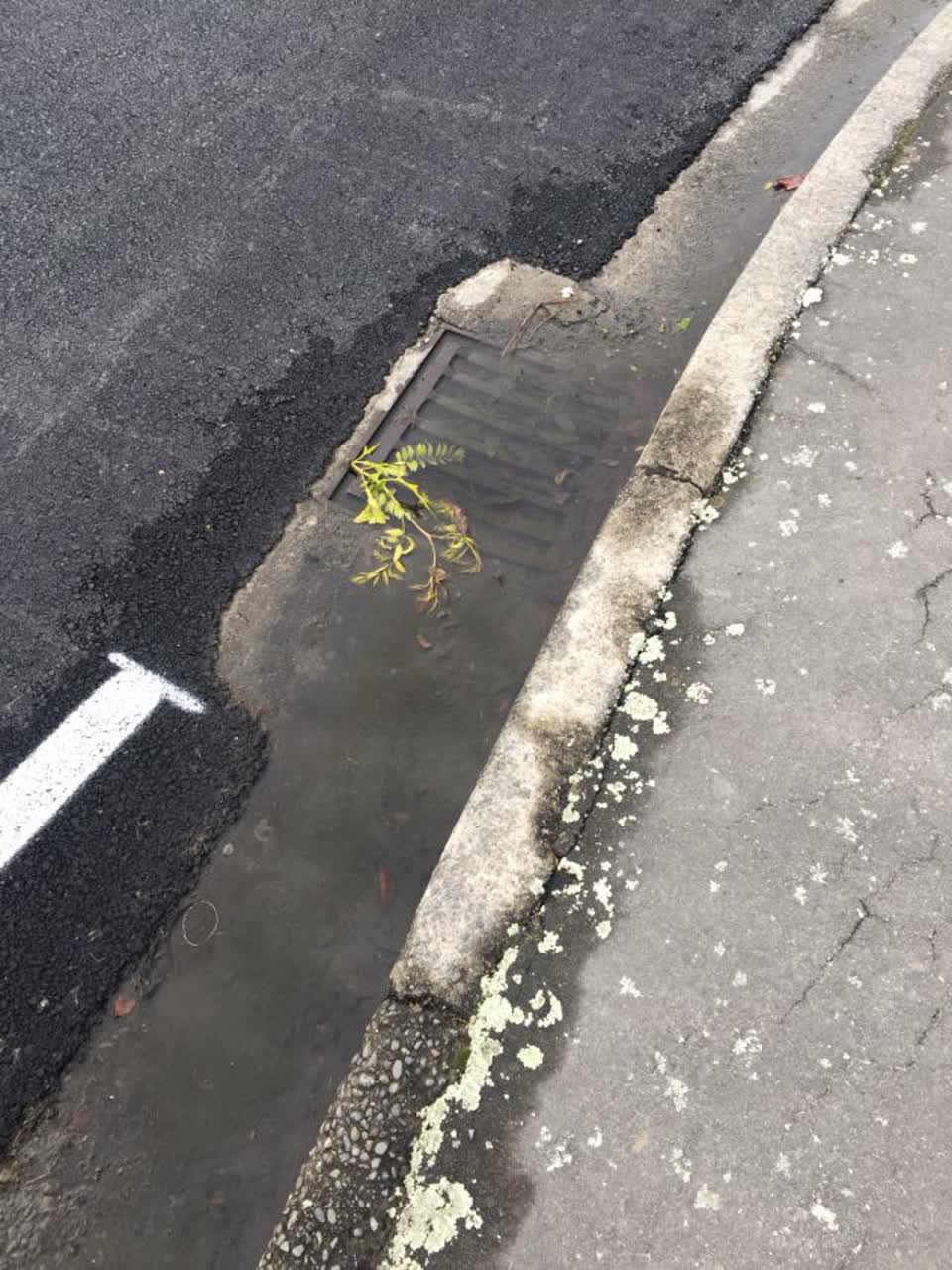 The photograph attached to this wastewater/stormwater report