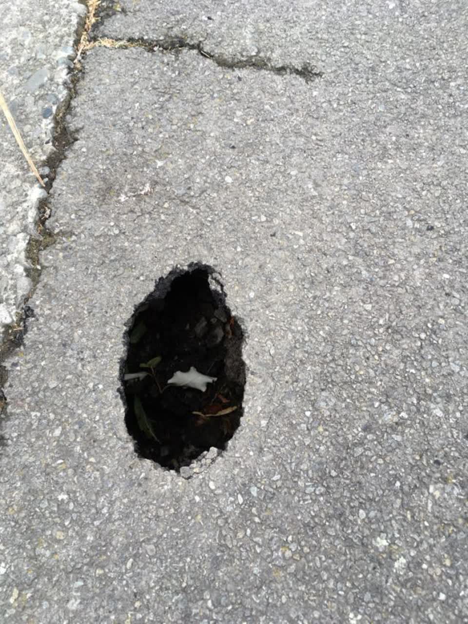 The photograph attached to this roading/streets report