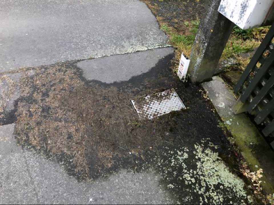 The photograph attached to this water supply report