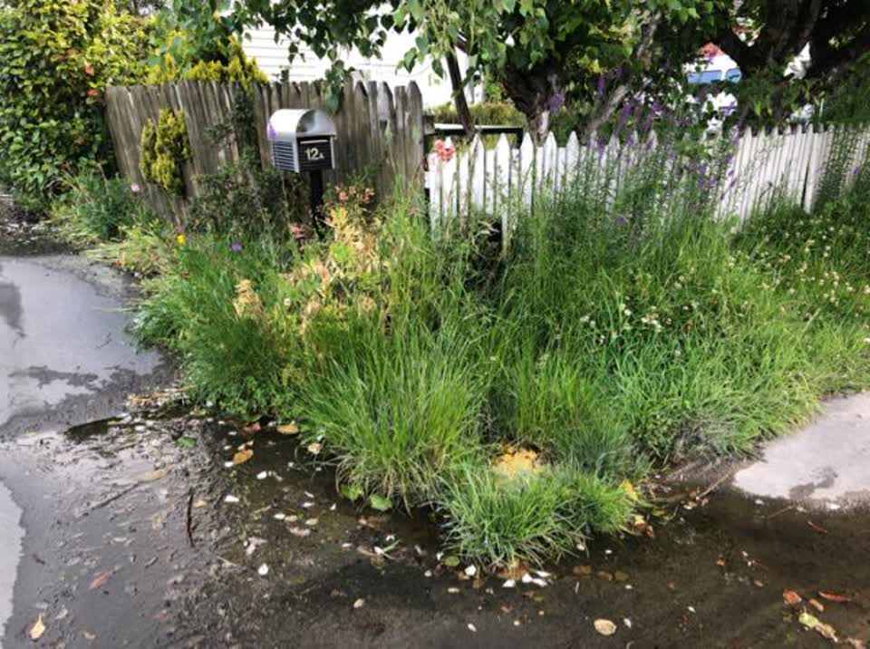 The photograph attached to this wastewater/stormwater report