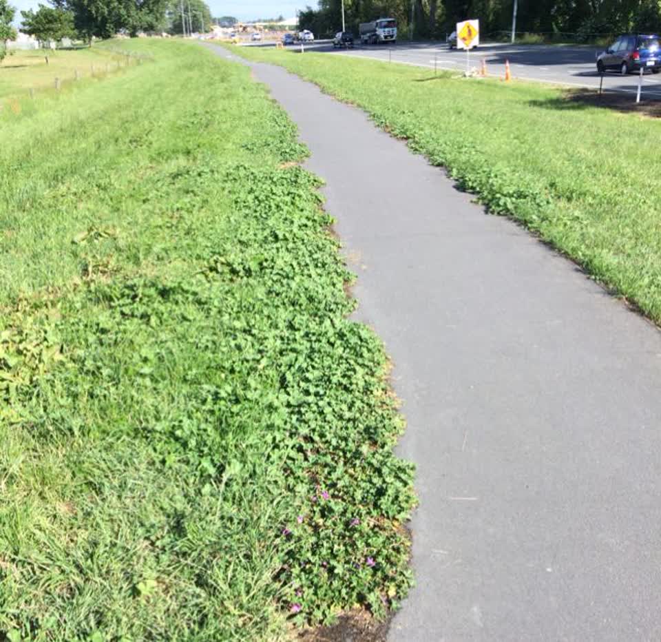 The photograph attached to this roading/streets report