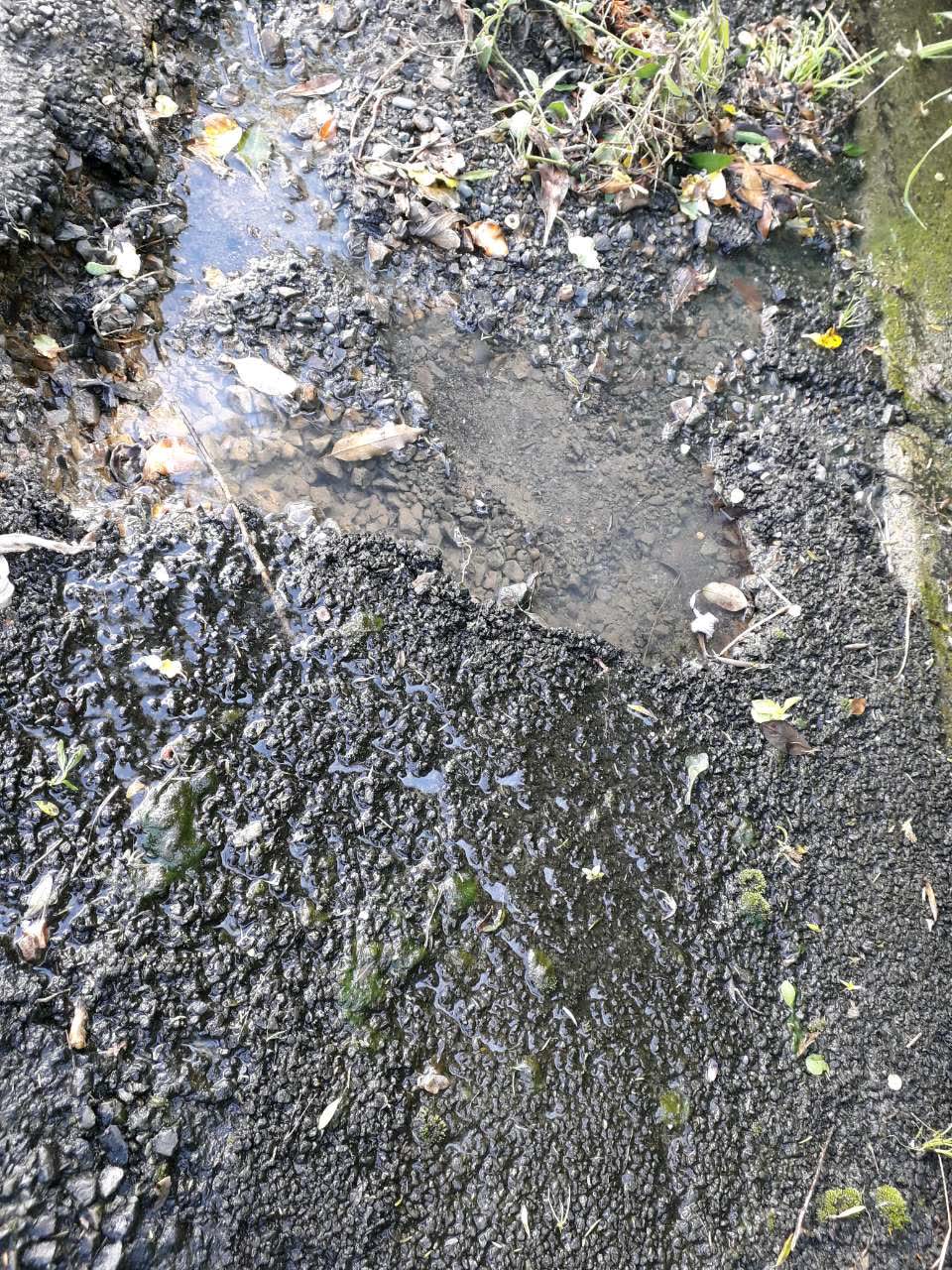 The photograph attached to this wastewater/stormwater report
