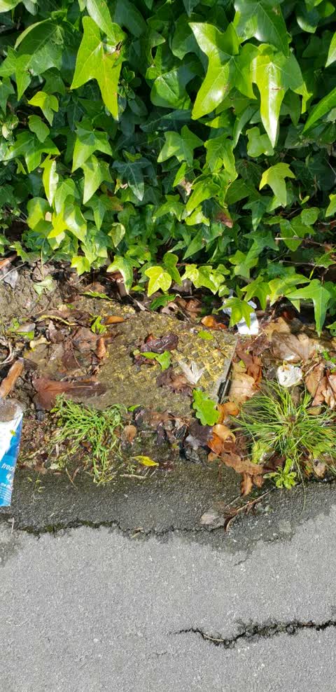 Water Supply, a report photo