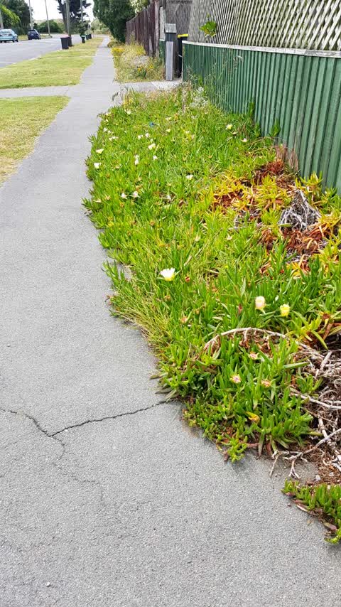 Roading/Streets, a report photo