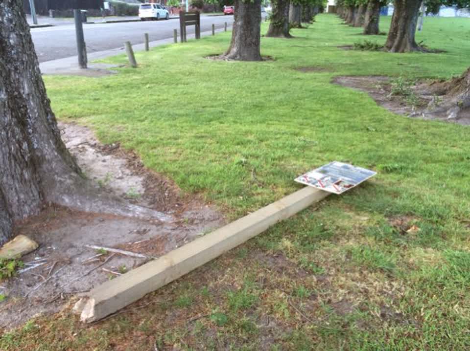 The photograph attached to this parks report