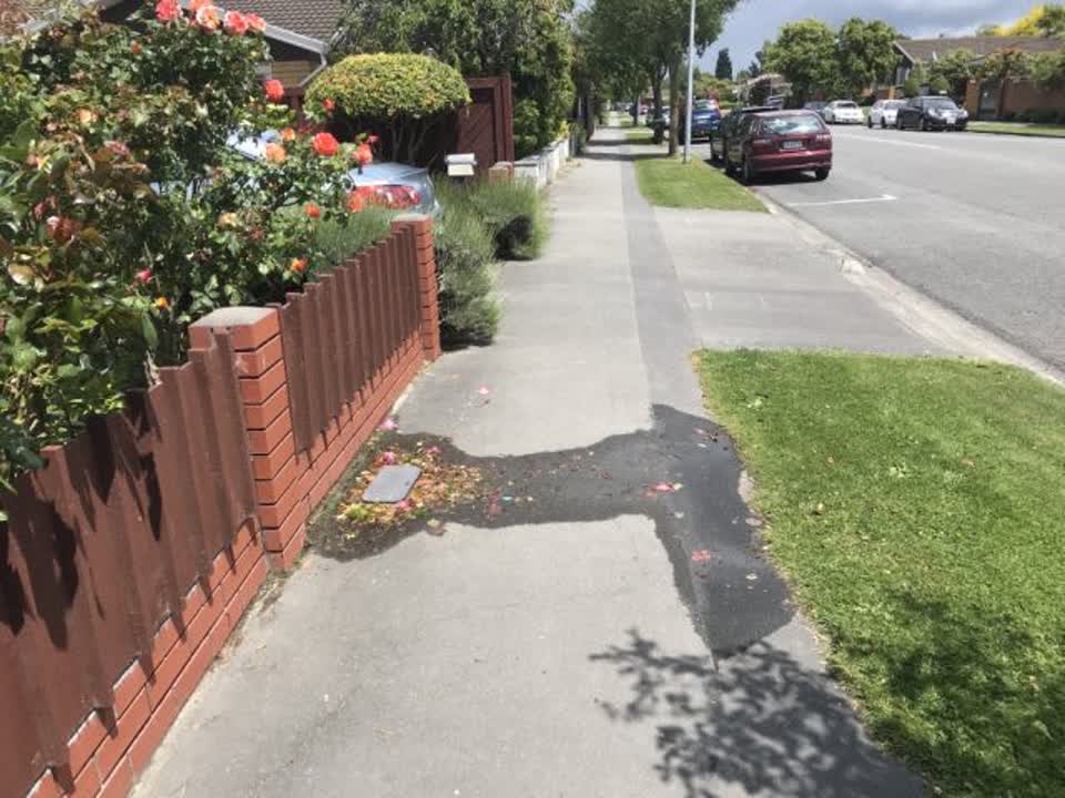 The photograph attached to this water supply report