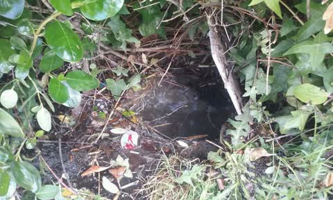 Water Supply, a report photo
