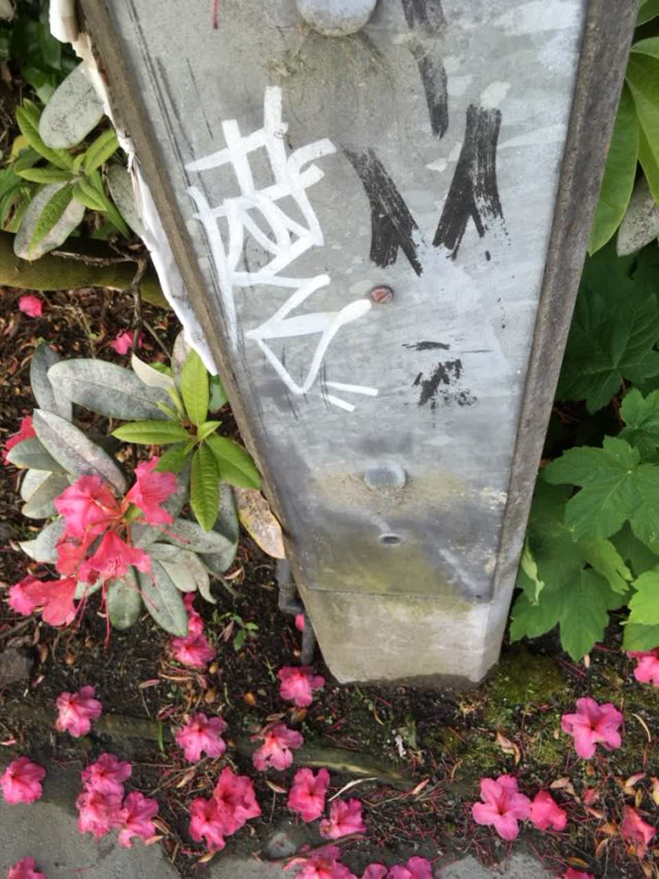The photograph attached to this graffiti report