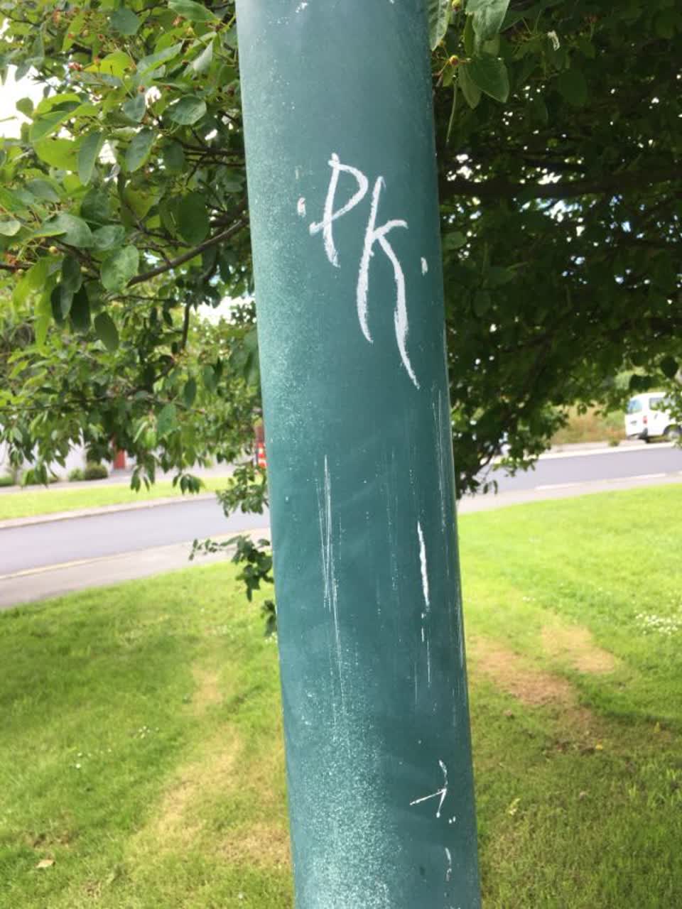 The photograph attached to this graffiti report