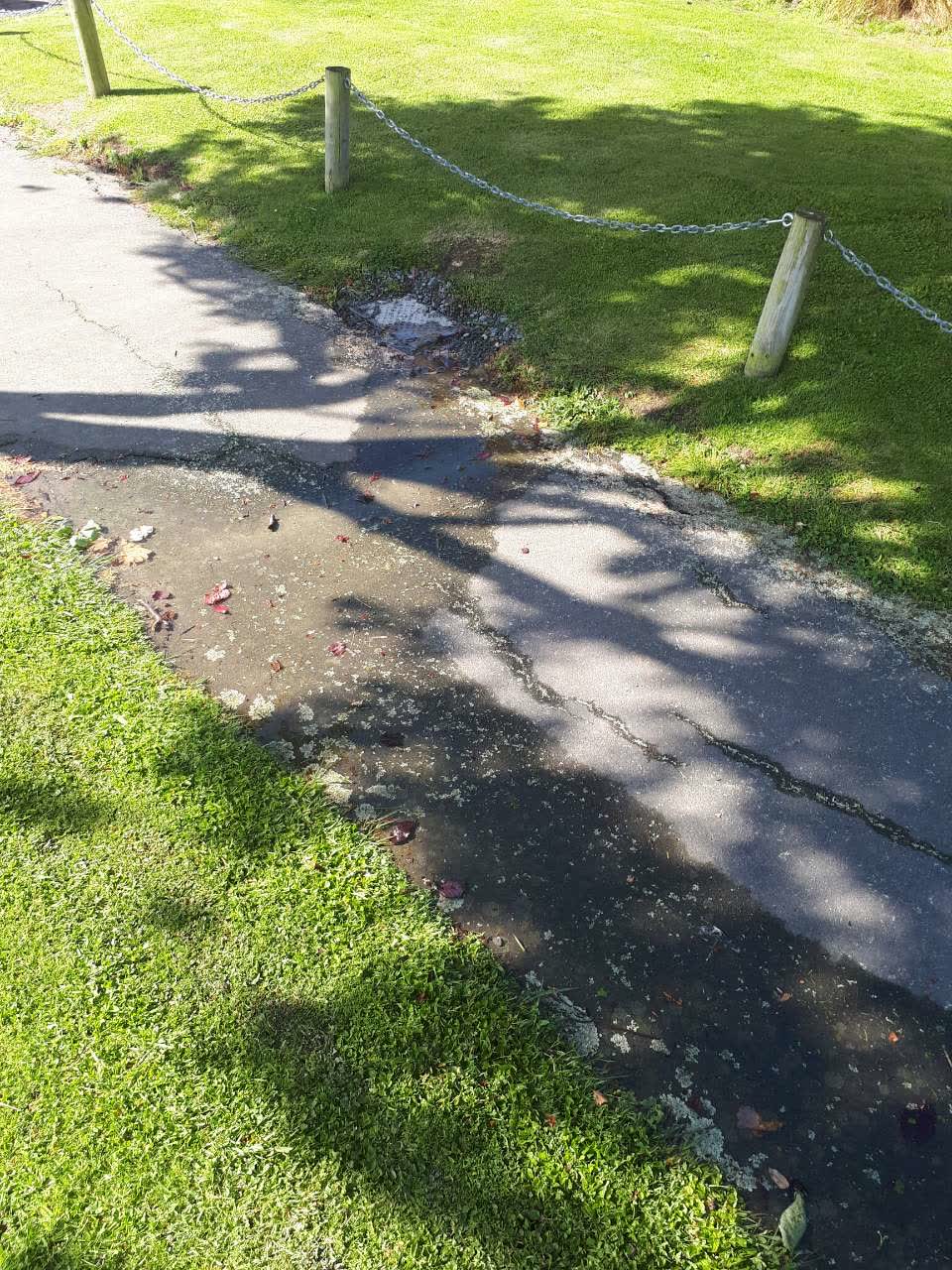 The photograph attached to this water supply report