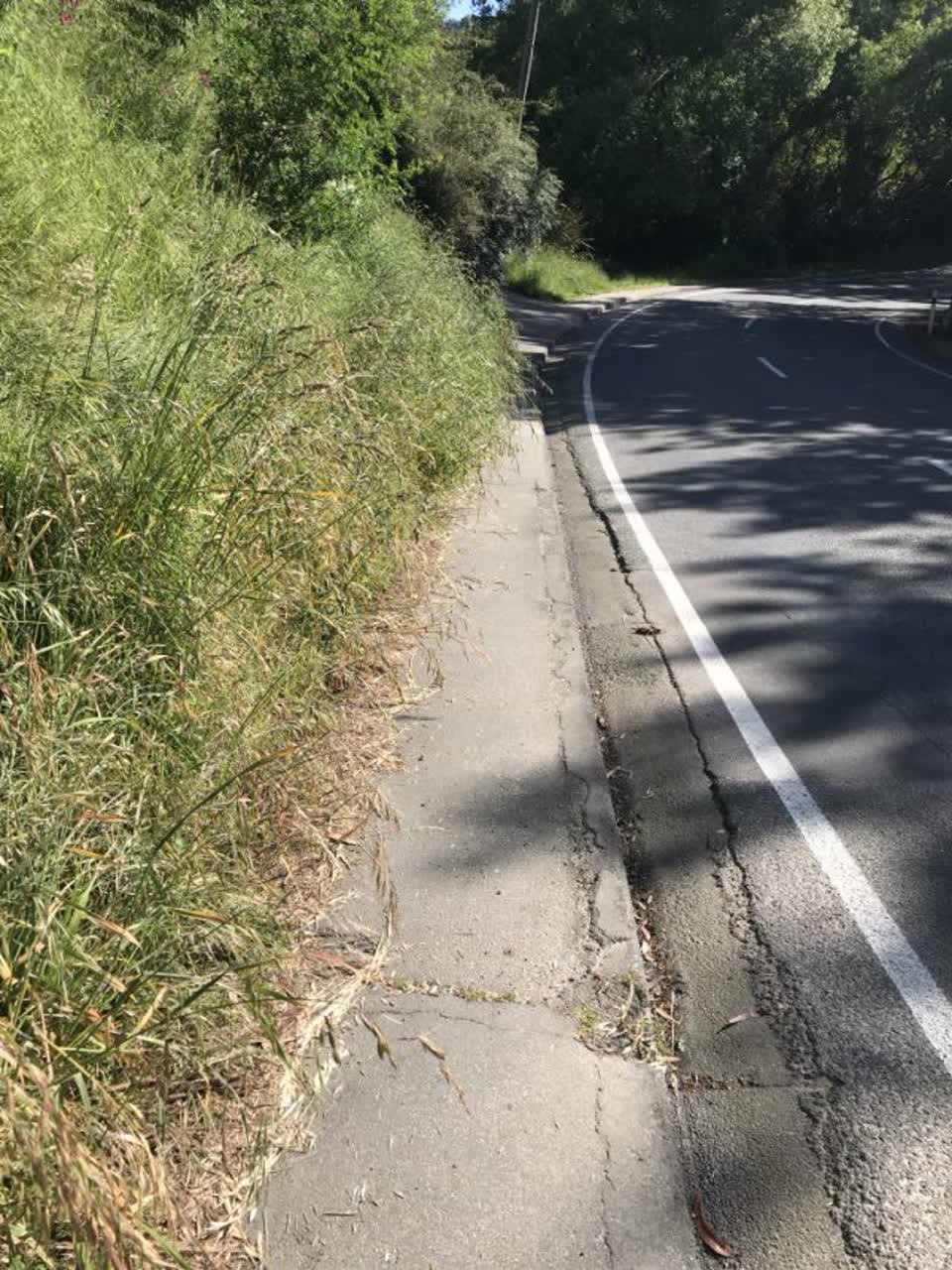 The photograph attached to this roading/streets report